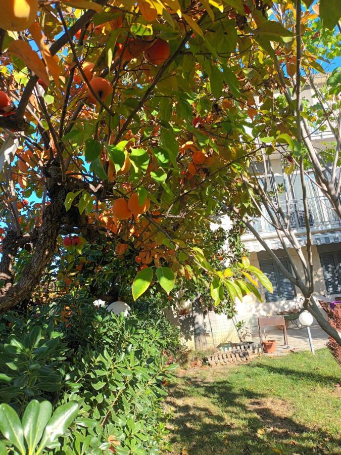 Ferienwohnung La Casa Degli Ippocastani Colonnella Exterior foto